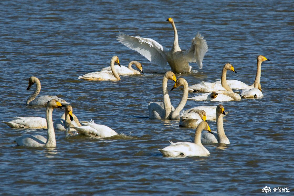 편선환 작가 작품