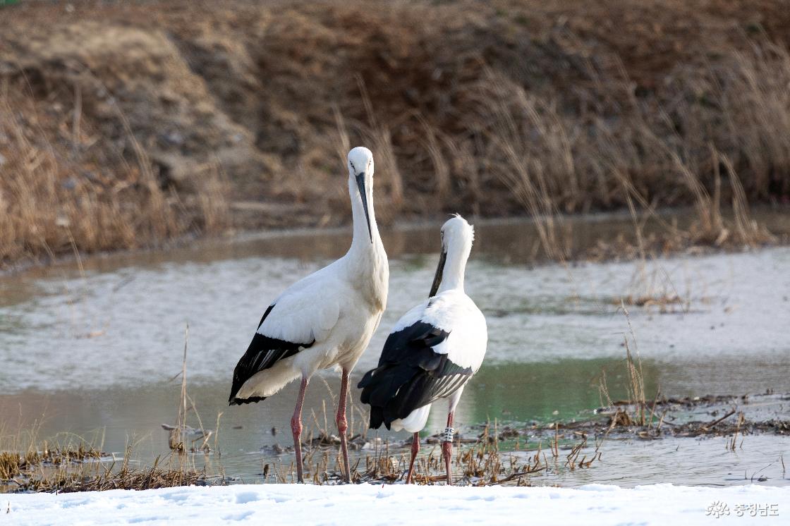 편선환 작가 작품