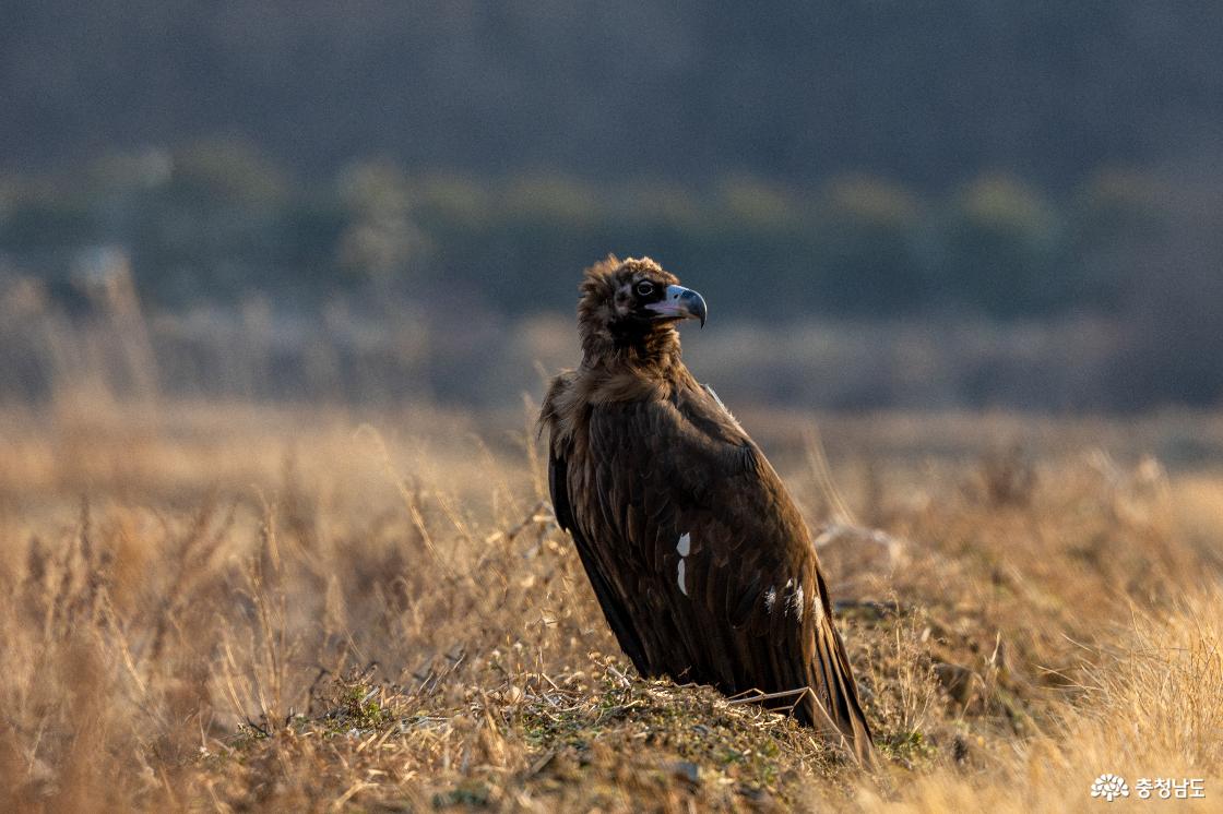 편선환 작가 작품