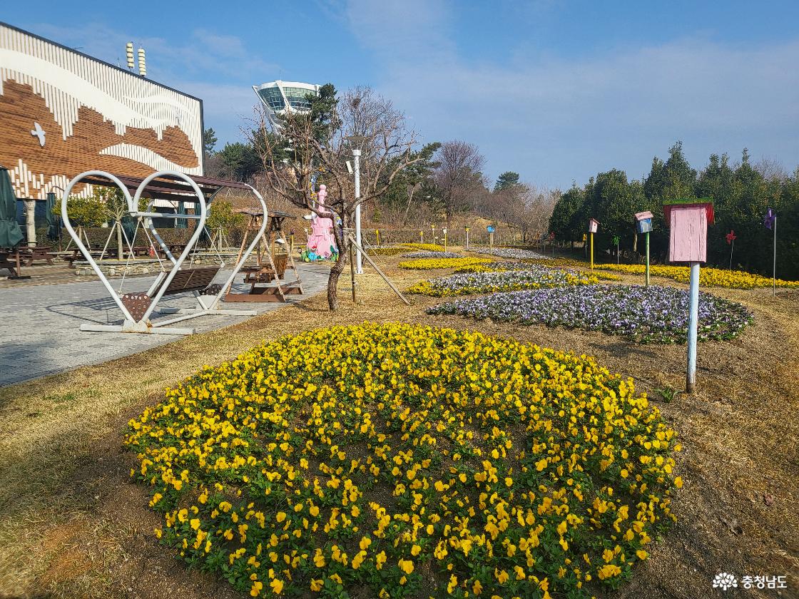 봄꽃이 만발한 버드랜드