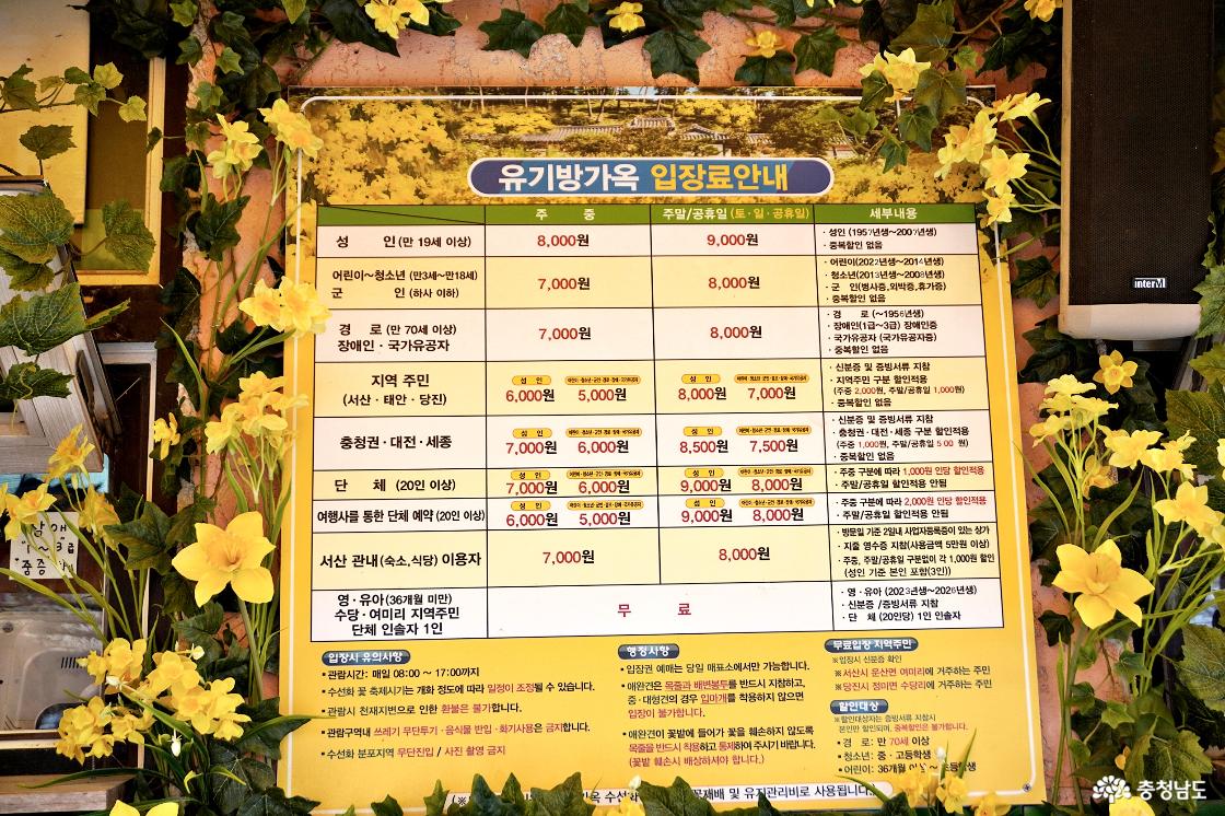 서산유기방가옥 수선화축제 입장료