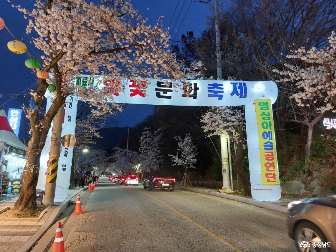 계룡산 벚꽃 문화 축제장 입구