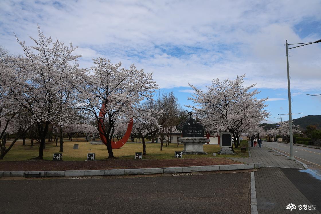 구드레 조각공원의 벚꽃피는 풍경