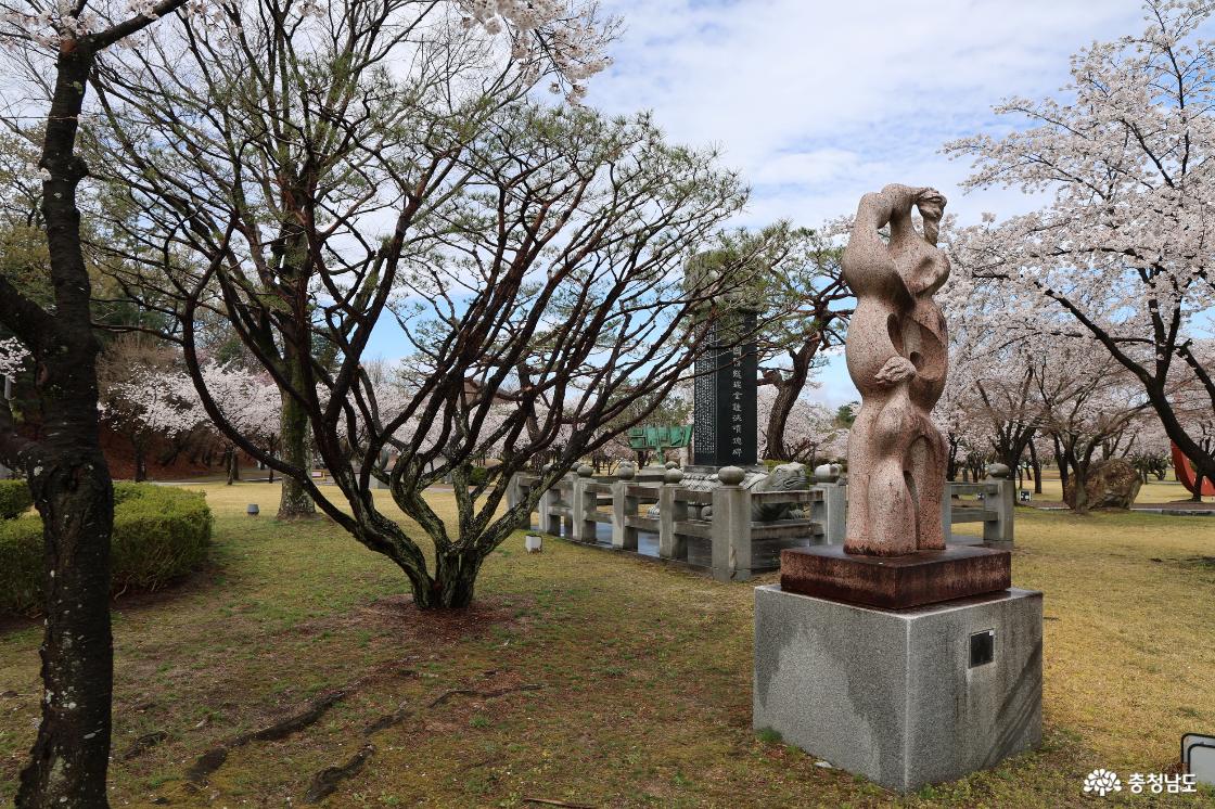구드레 조각공원의 벚꽃피는 풍경