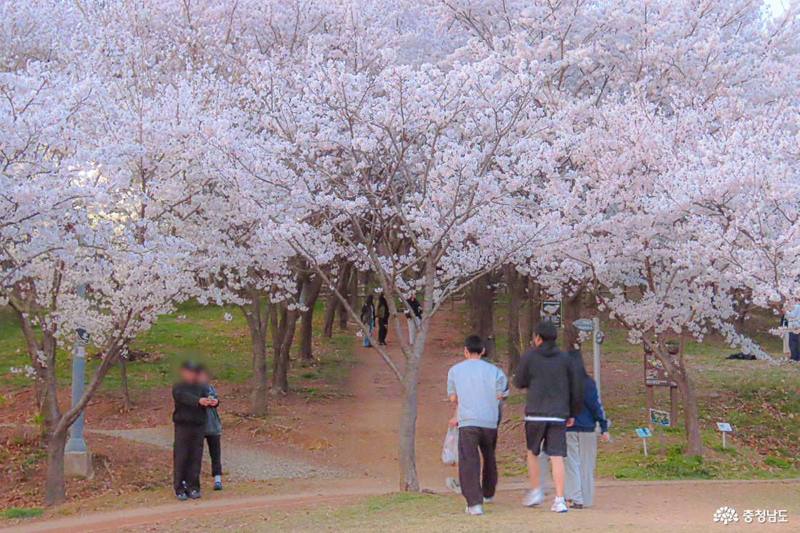 지산공