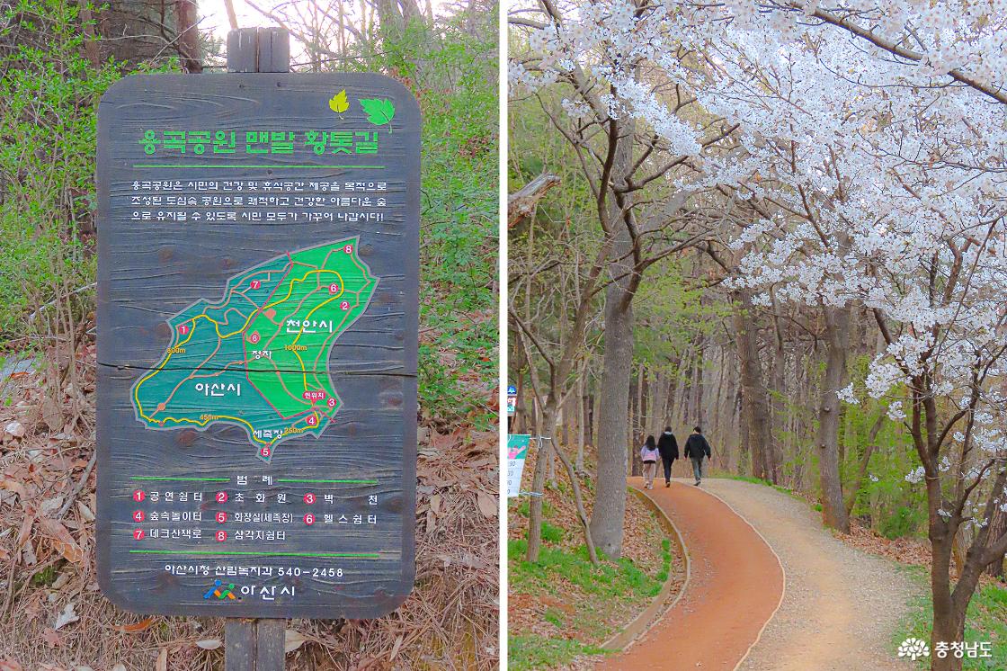용곡공원 황톳길