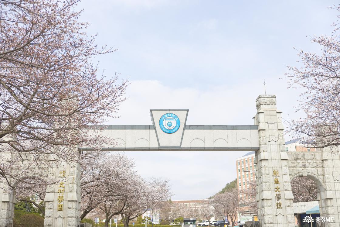 충남 당진의 신성대학교 정문