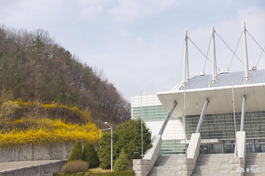 완연한 봄기운이 가득한 신성대학교 캠퍼스 풍경