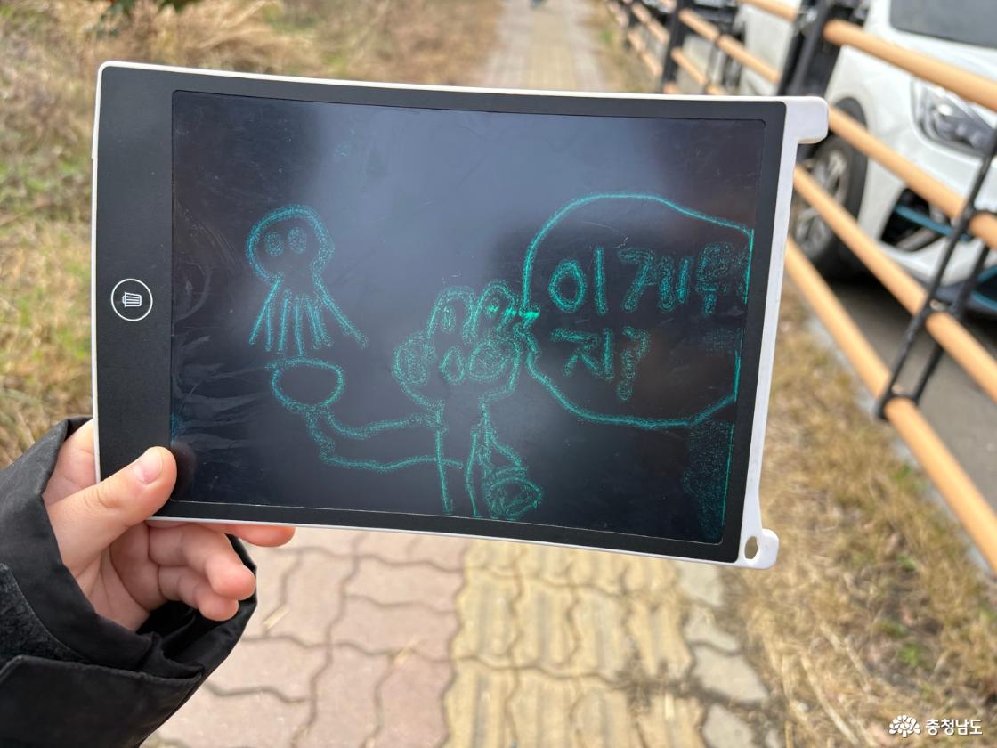 쭈꾸미가 뭐지?