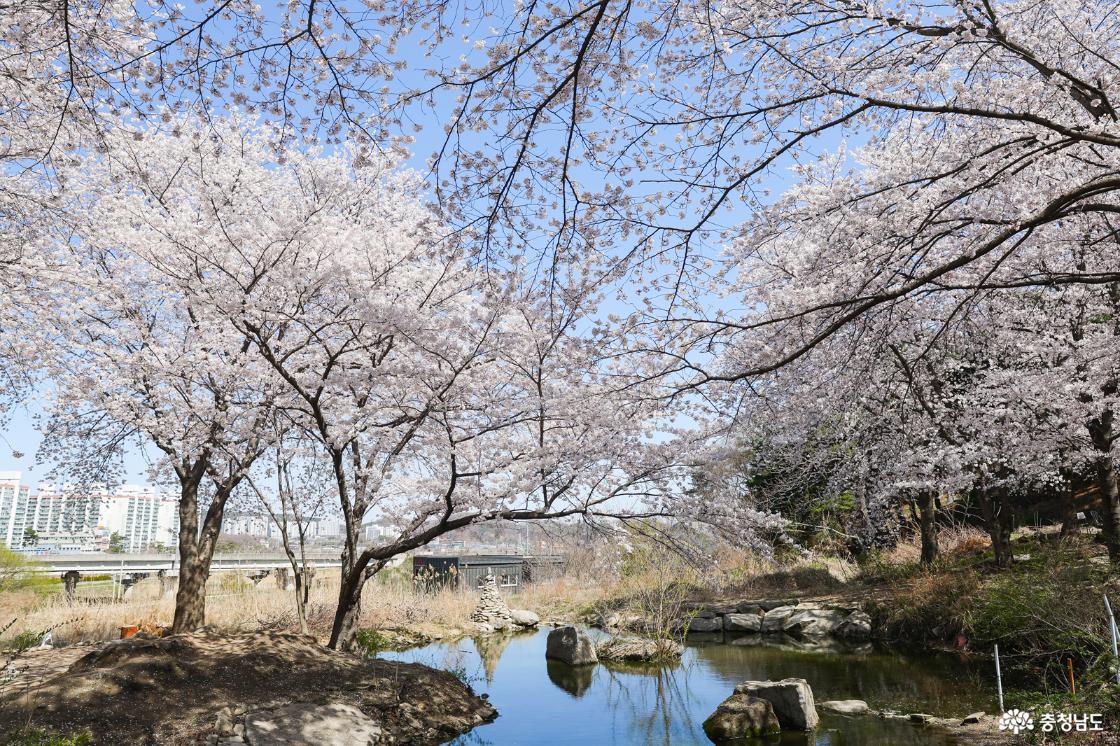 연못