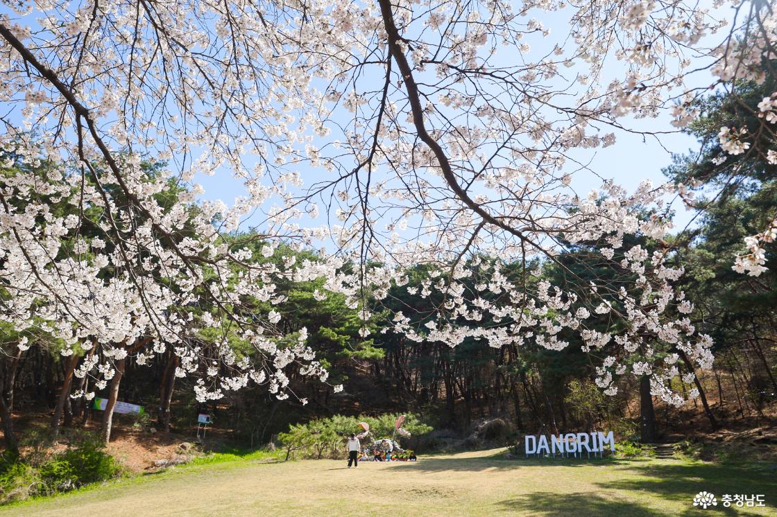 잔디밭