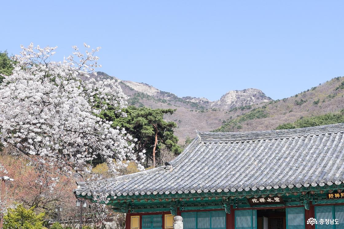 와불