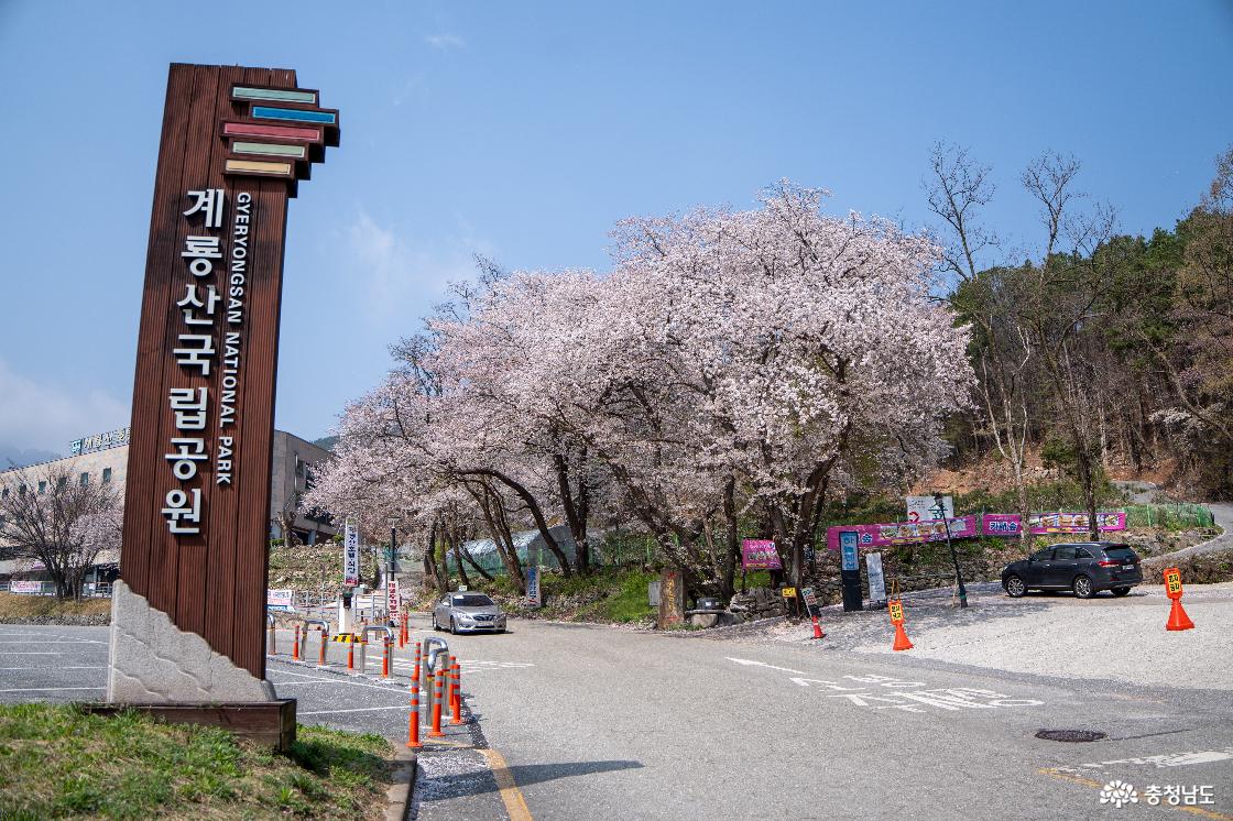 계룡산국립공원 입구 주차장