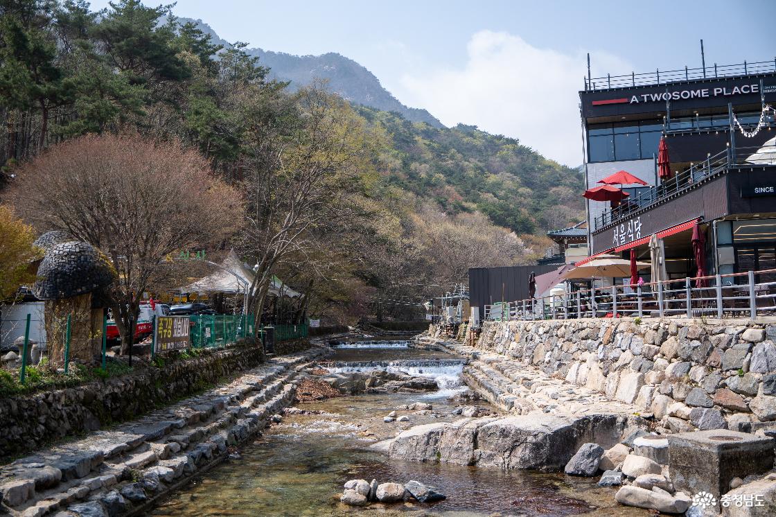 계룡산 걔곡물