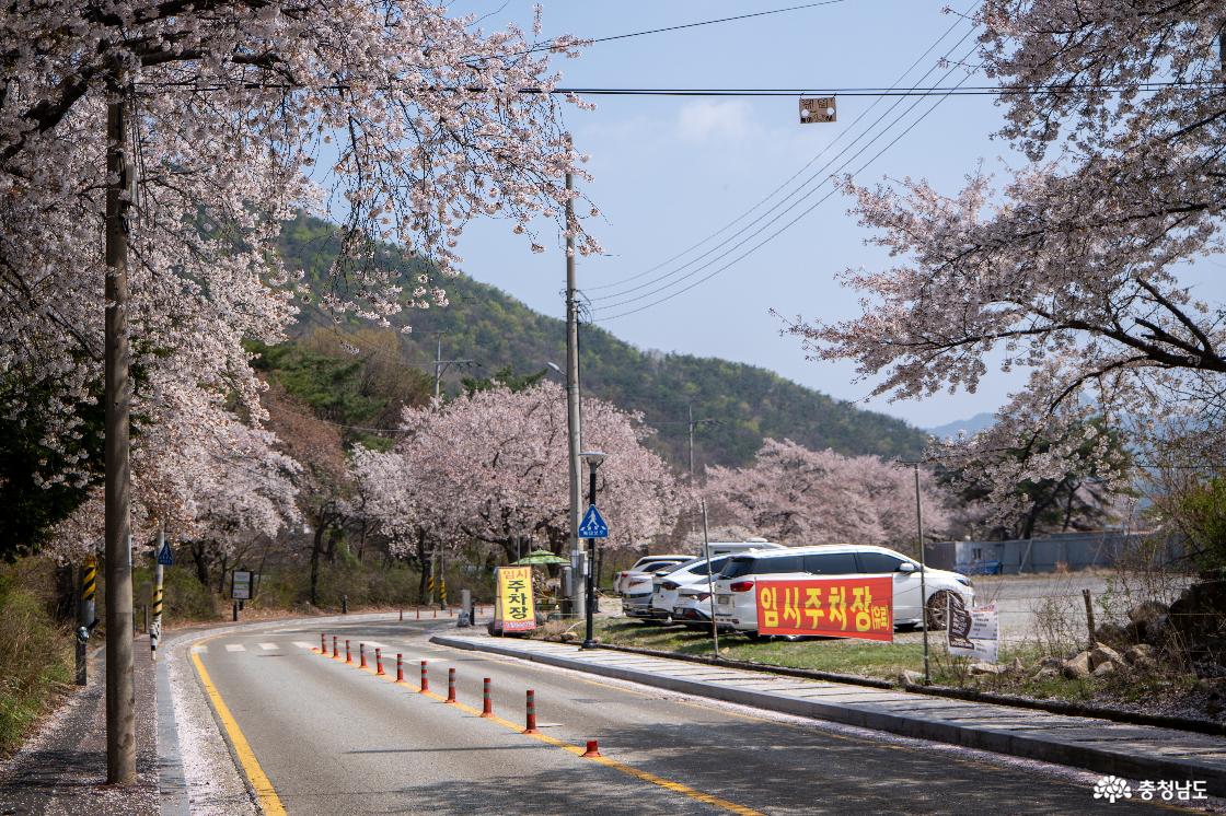 주차장 뒤편 드라이브하기 좋은 코스