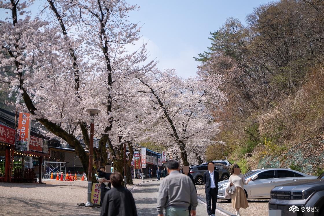 여유러워 보이는 사람들 모습