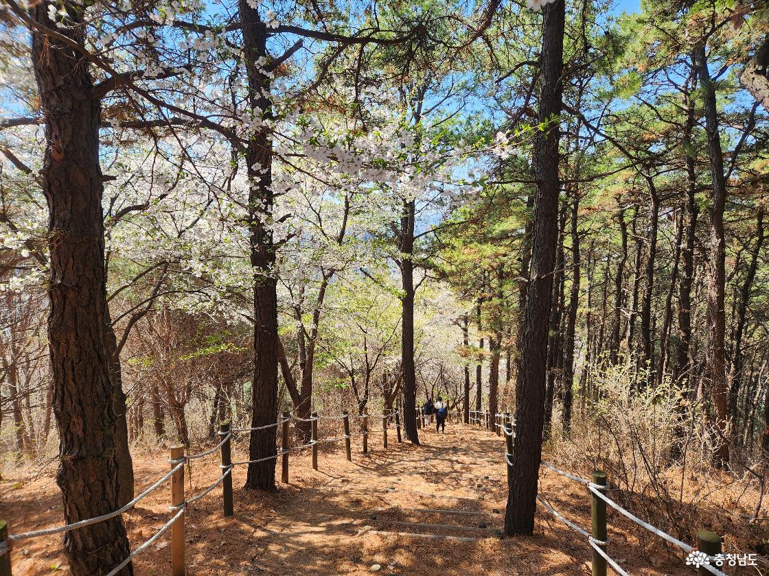 지산체육공원