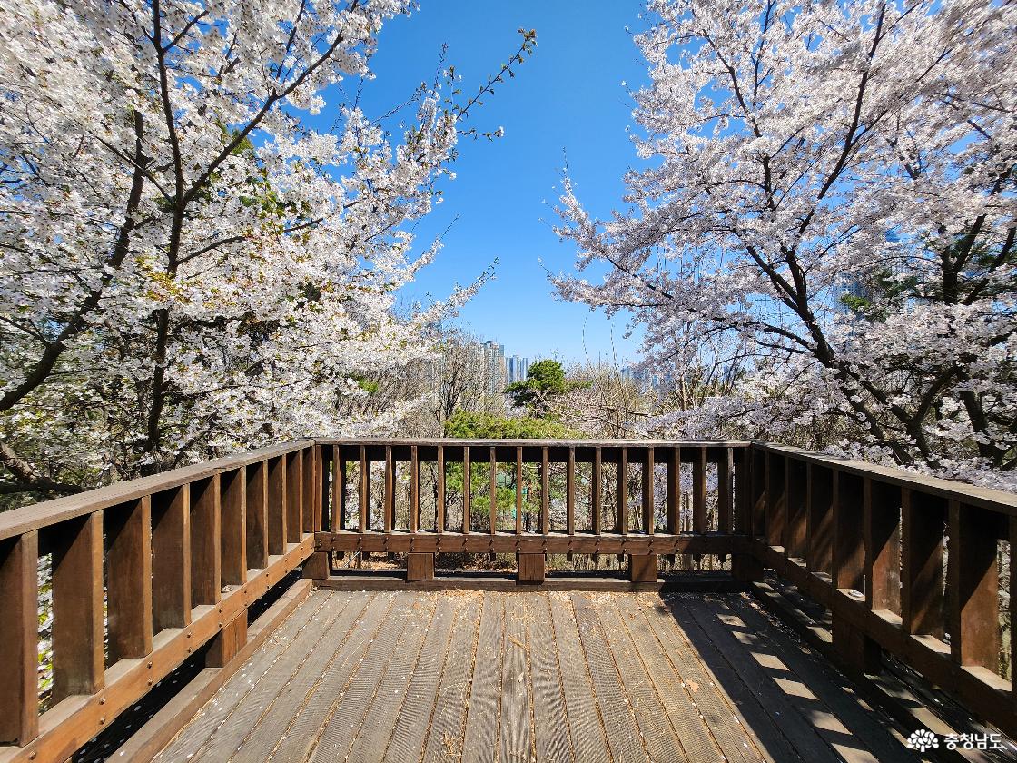 지산체육공원