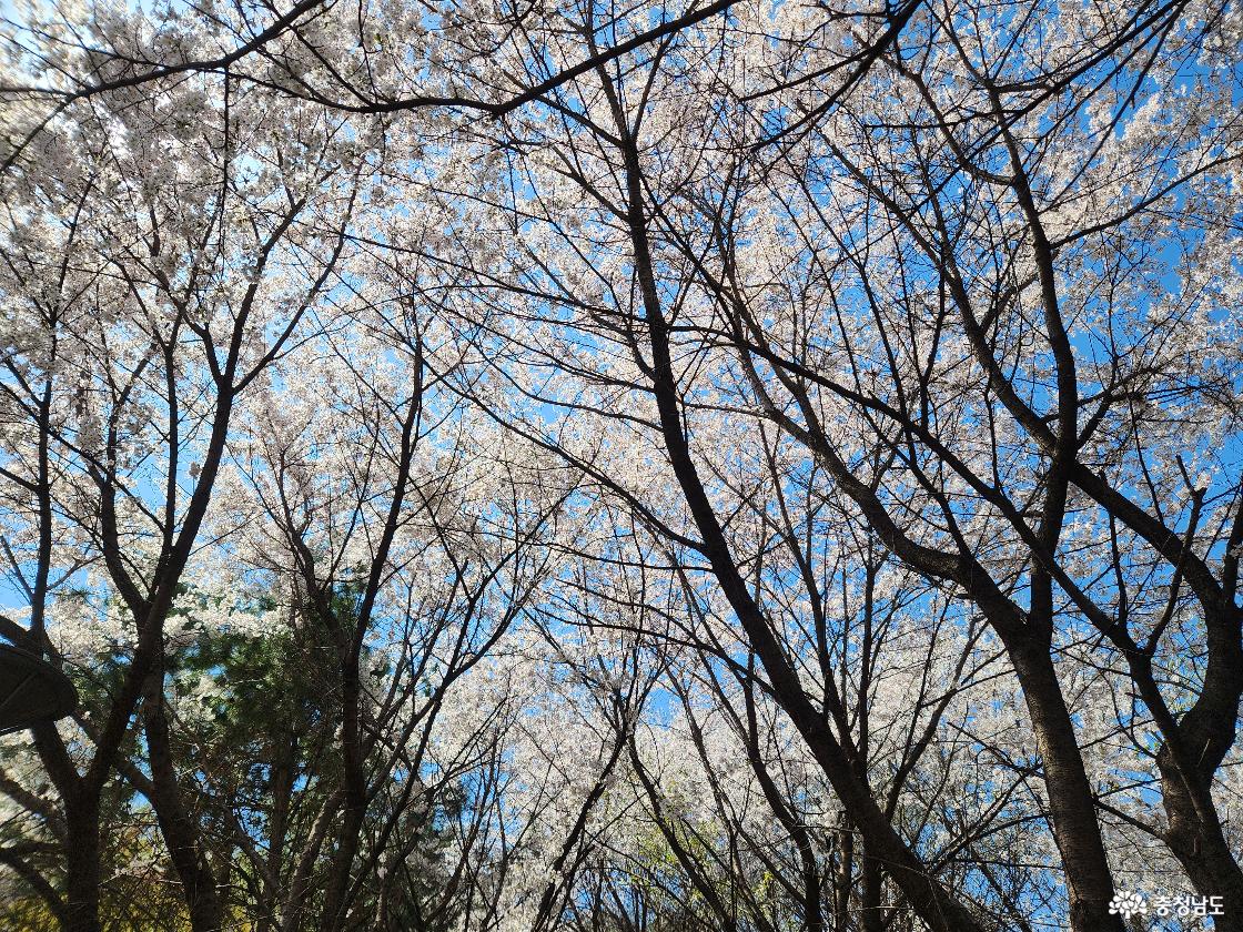 지산체육공원