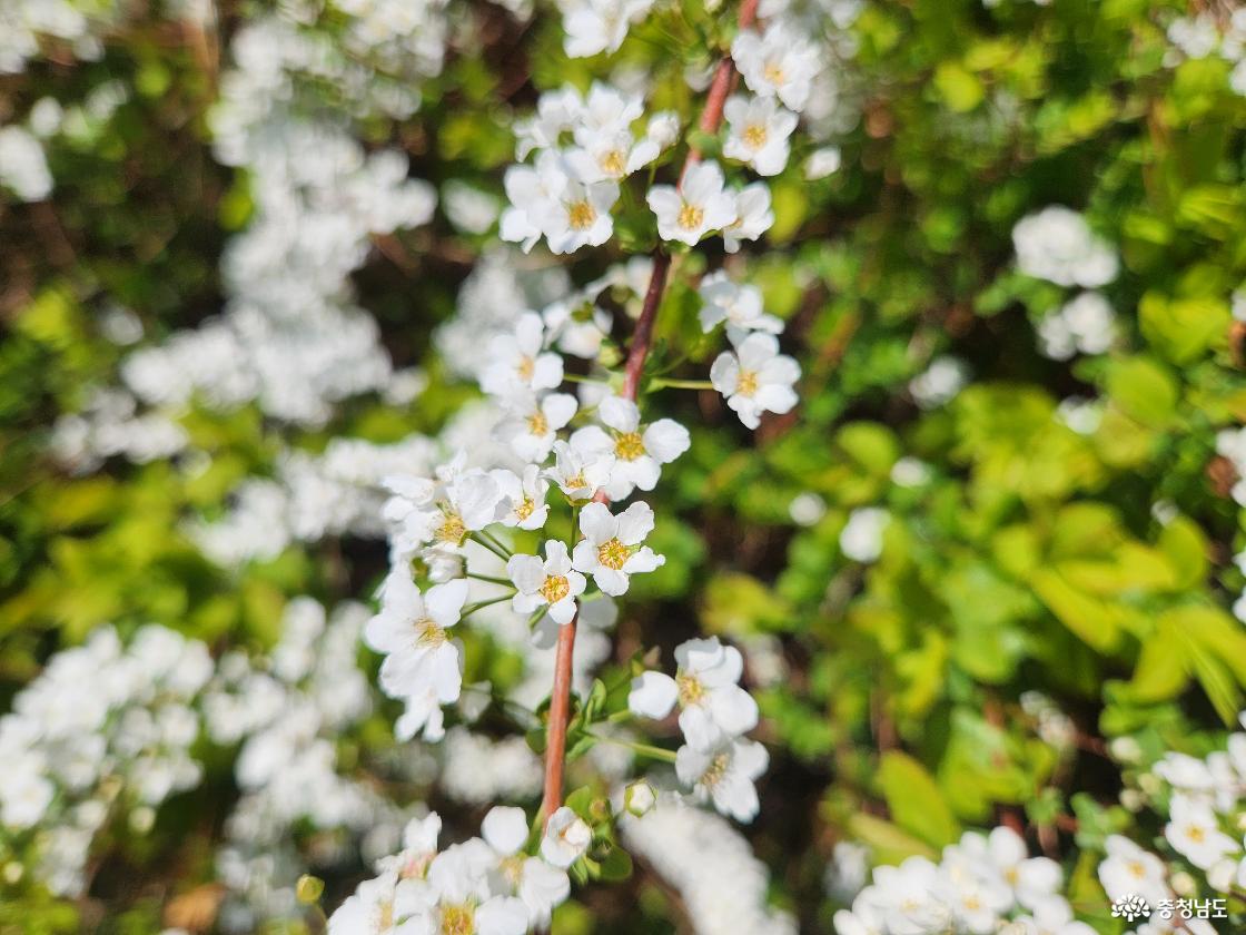 지산체육공원