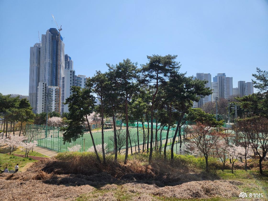 지산체육공원