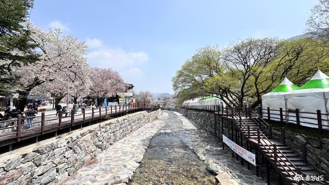 계곡의 모습