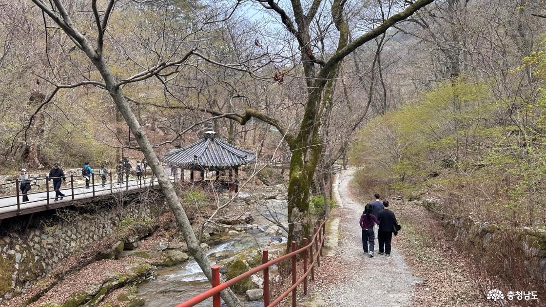 동학사로 가는 엣길