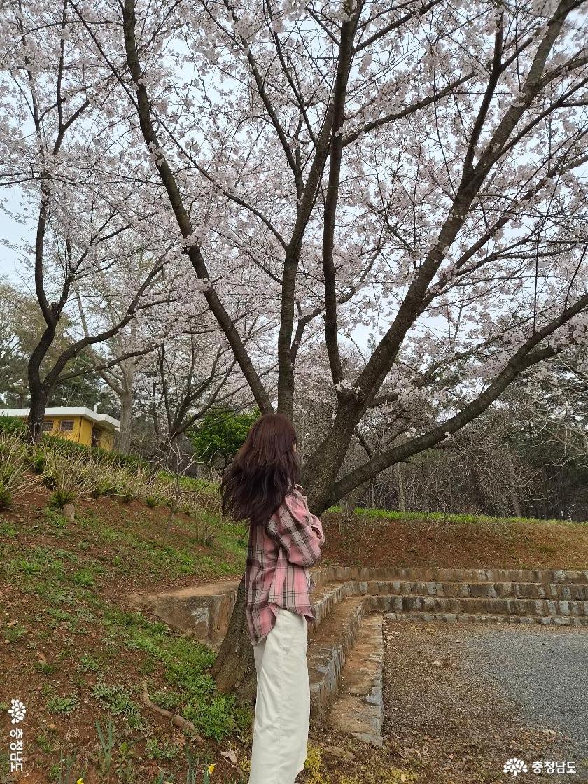 서해미술관