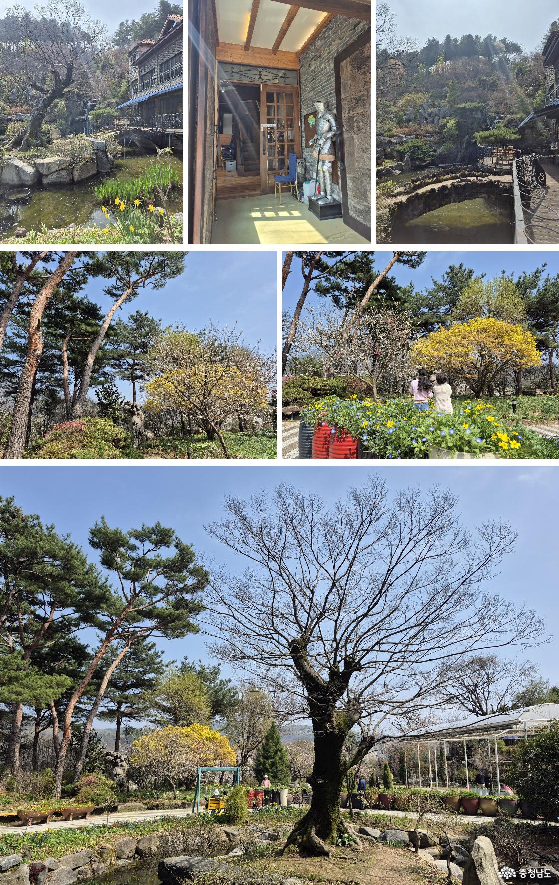 컨벤션 센터, 화수목 식당, 왼쪽 뒤쪽 인공폭포 / 가든 웨딩, 봄기운 가득 깃든 정원 