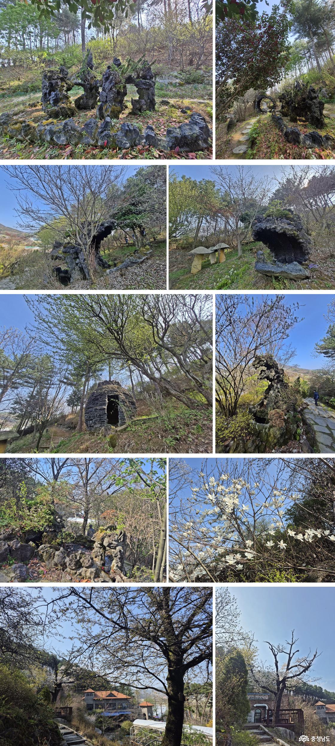 석부작길 화산 석상과 석상 위 분재 / 목련꽃 / 잔디광장 위에서 바라보이는 컨벤션 센터와 화수목 식당 건물