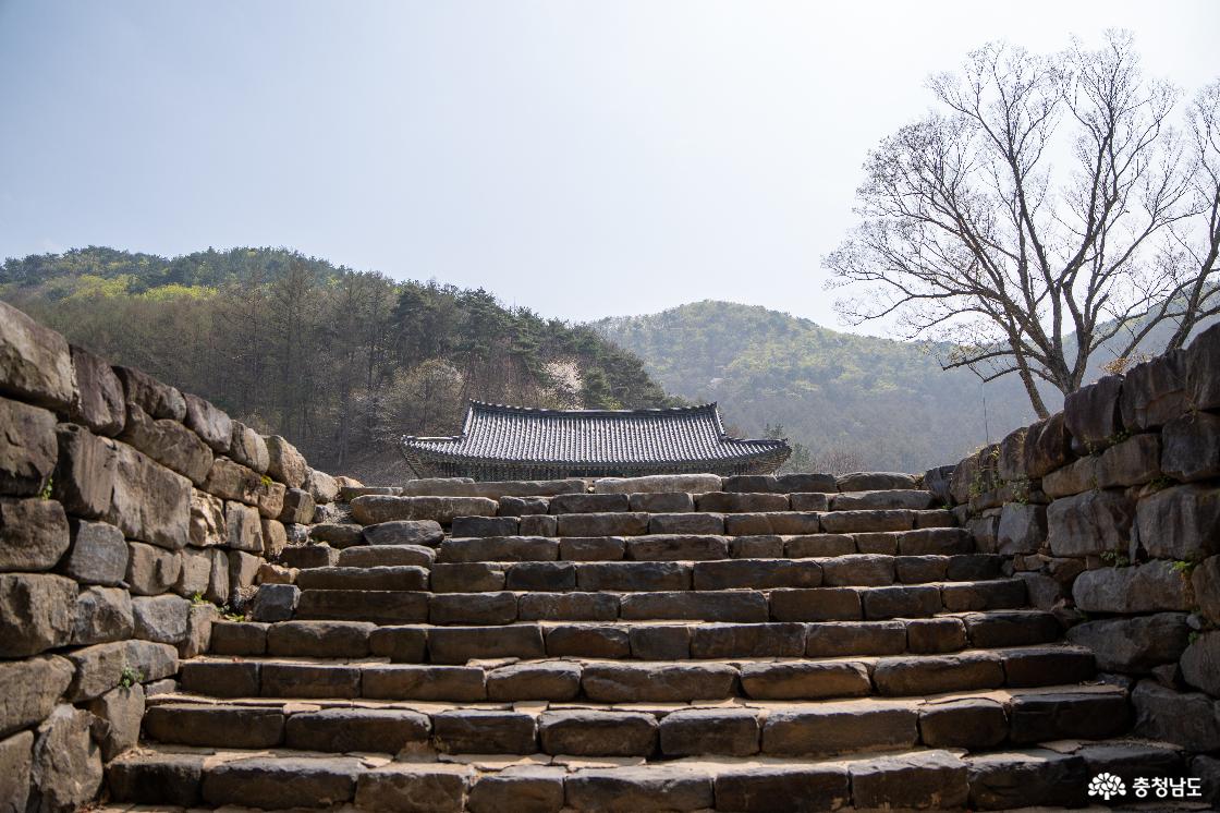 경내로 올라가는 계단