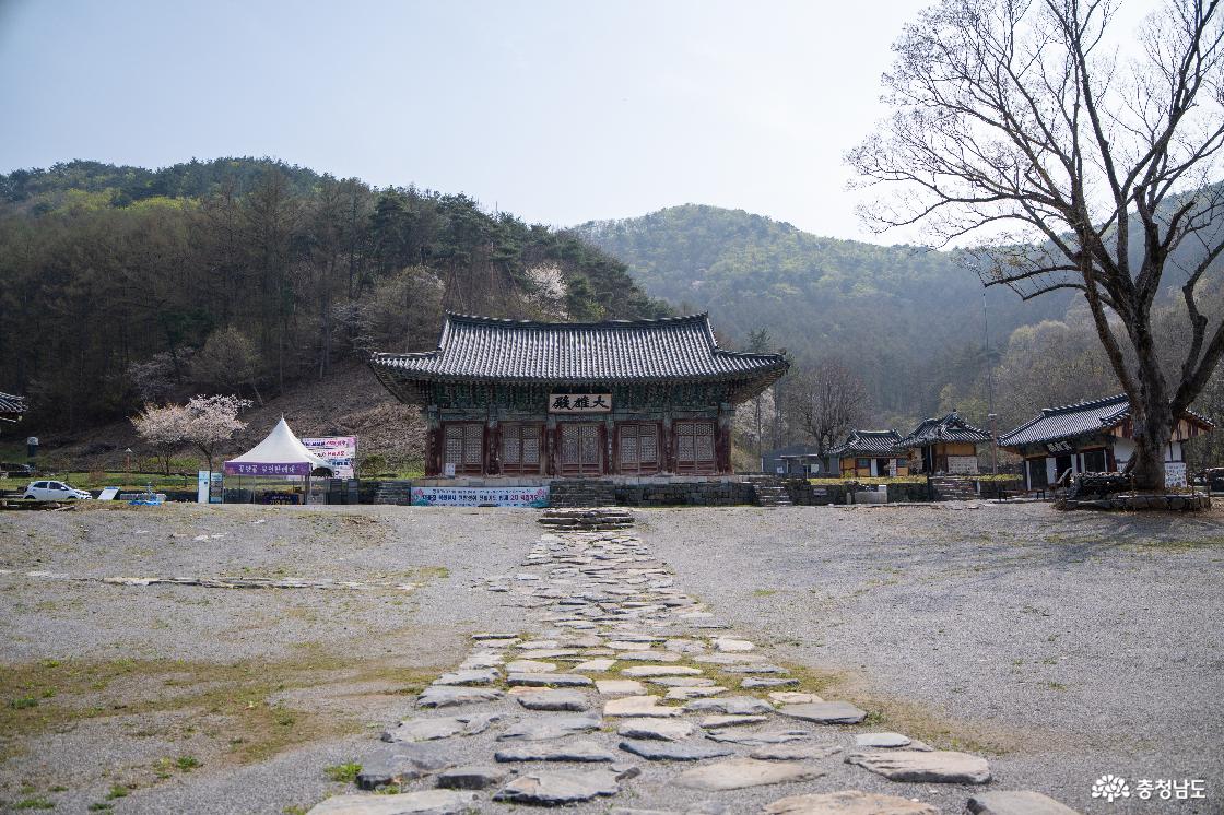 쌍계사 전경
