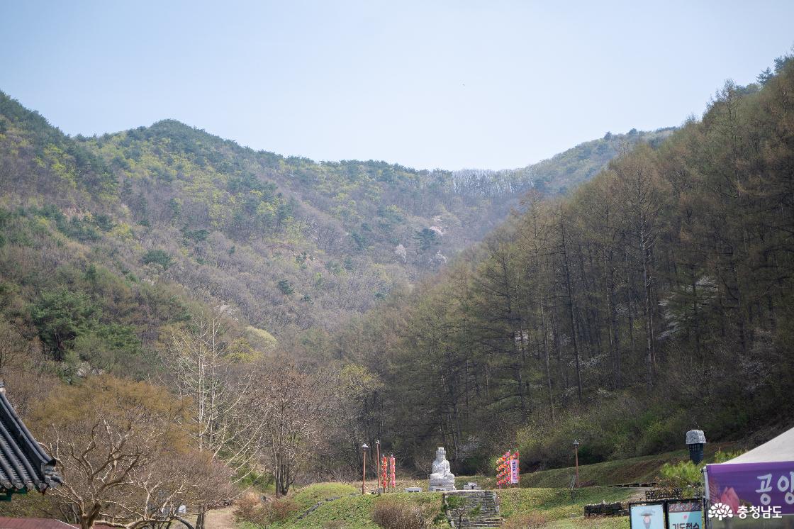 사찰 뒤편으로 보이는 산세