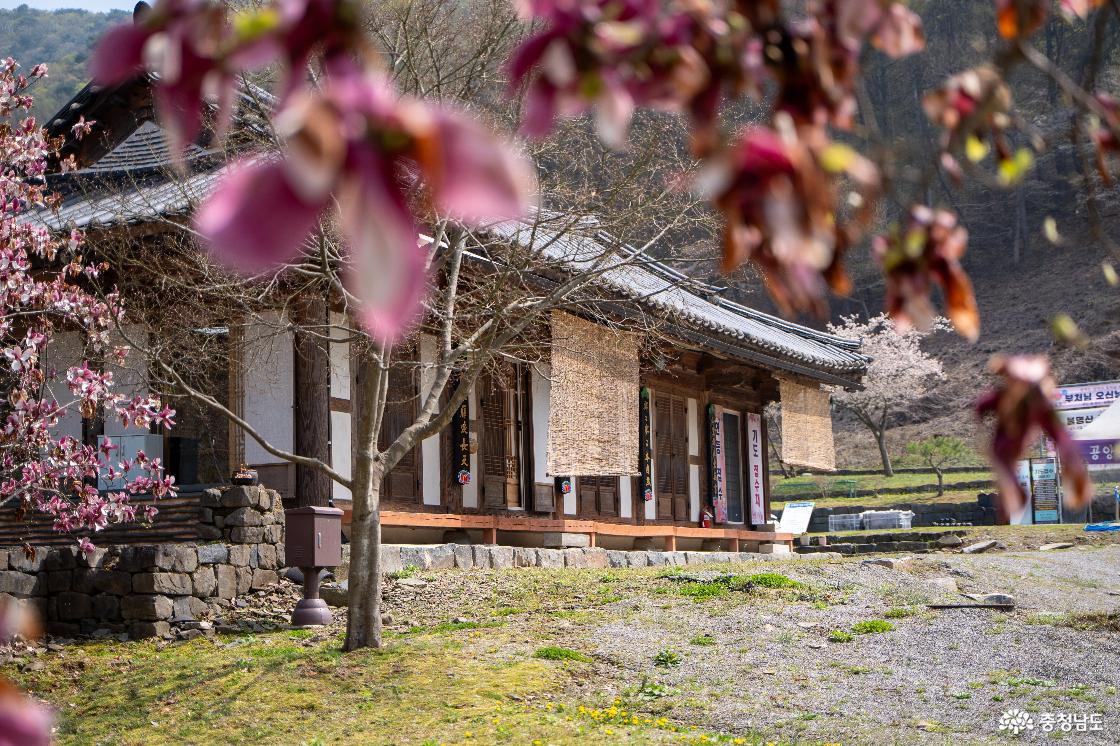한가로운 경내 풍경