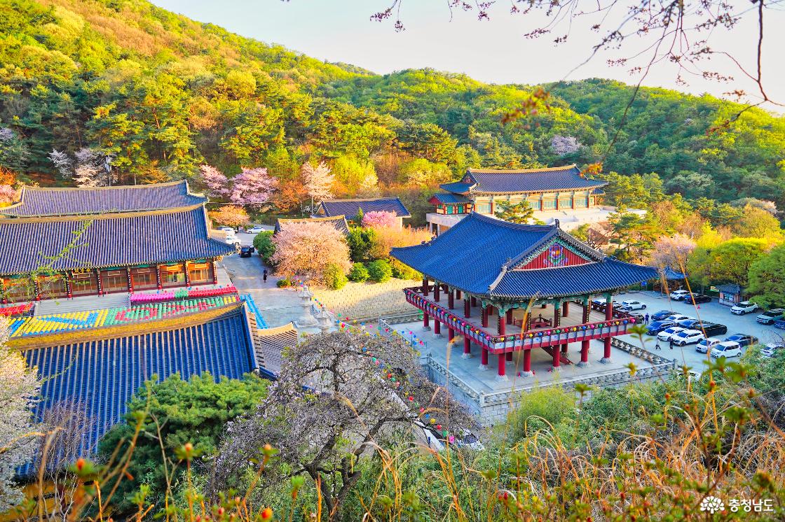 위에서 바라본 각원사