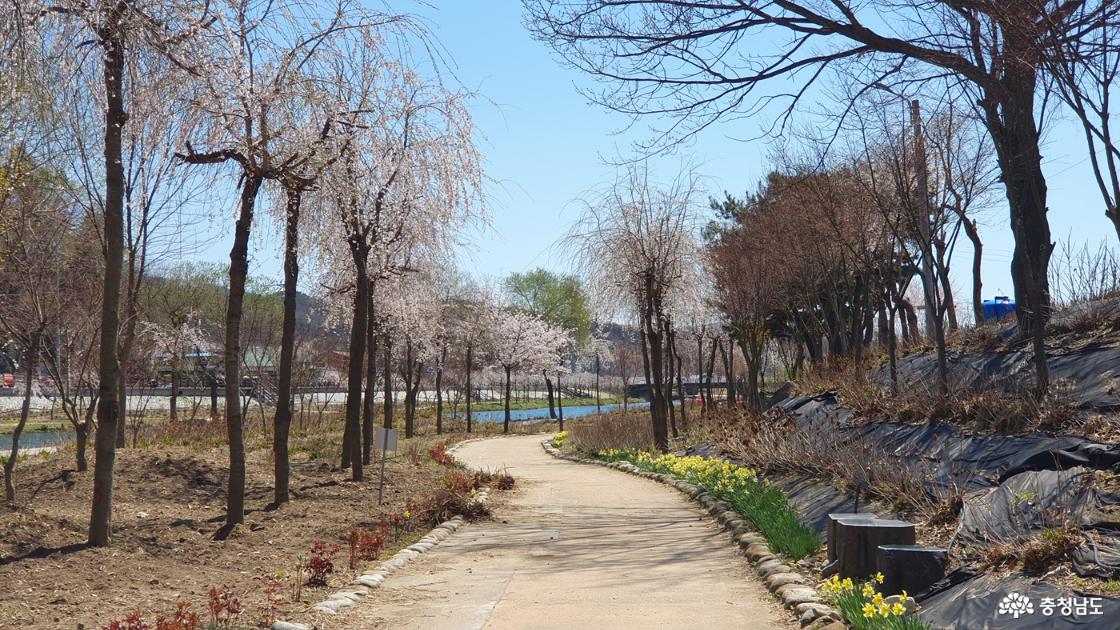 산책로