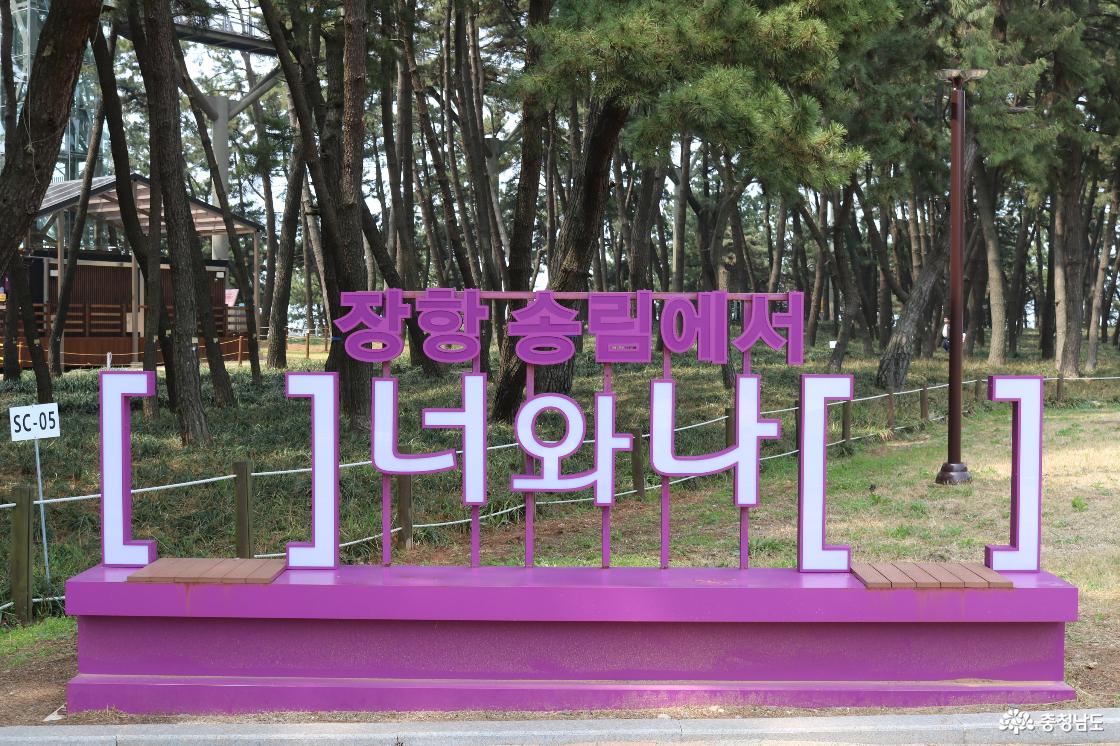 누구나 이용가능한 송림동화