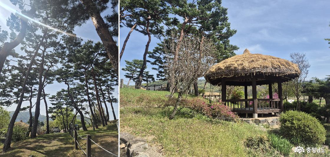 외암마을 입구에 있던 장승이 있는 뒤 언덕 / 초가지붕 정자