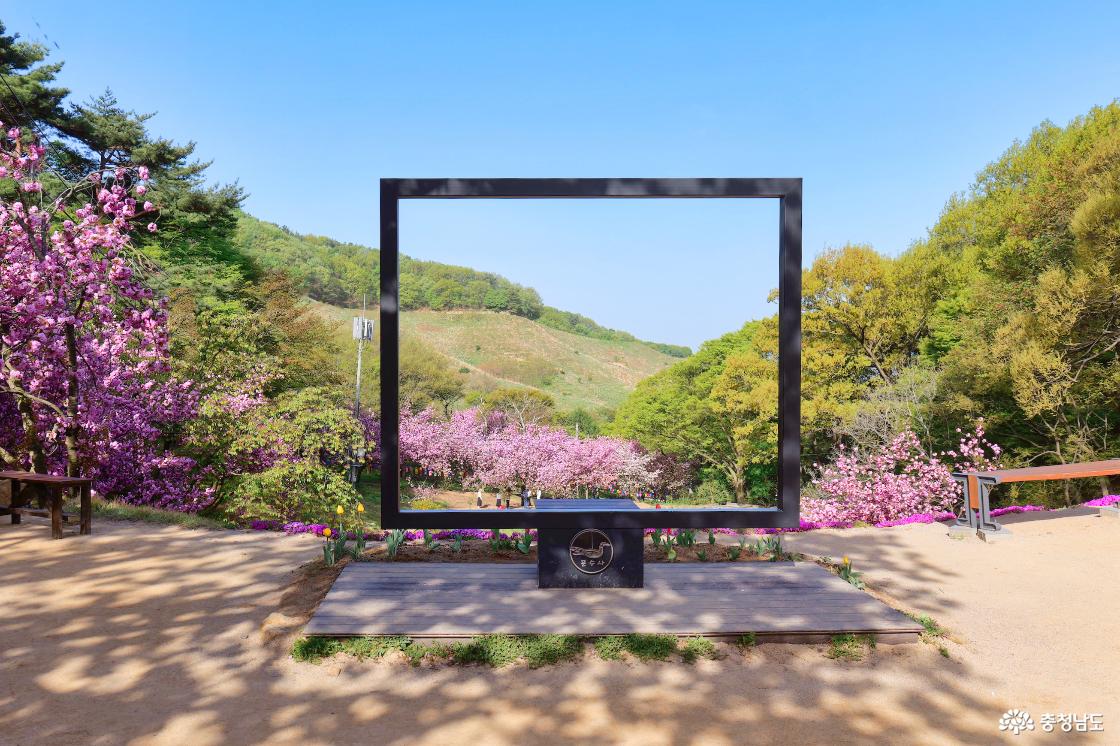 문수사 포토존