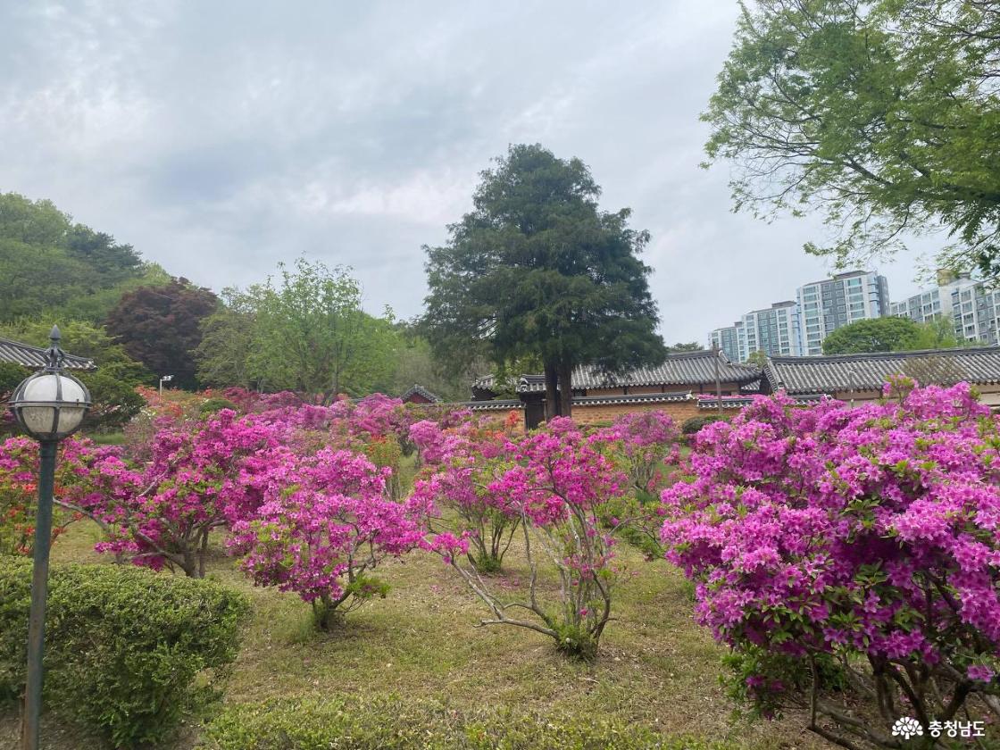 사계고택 20
