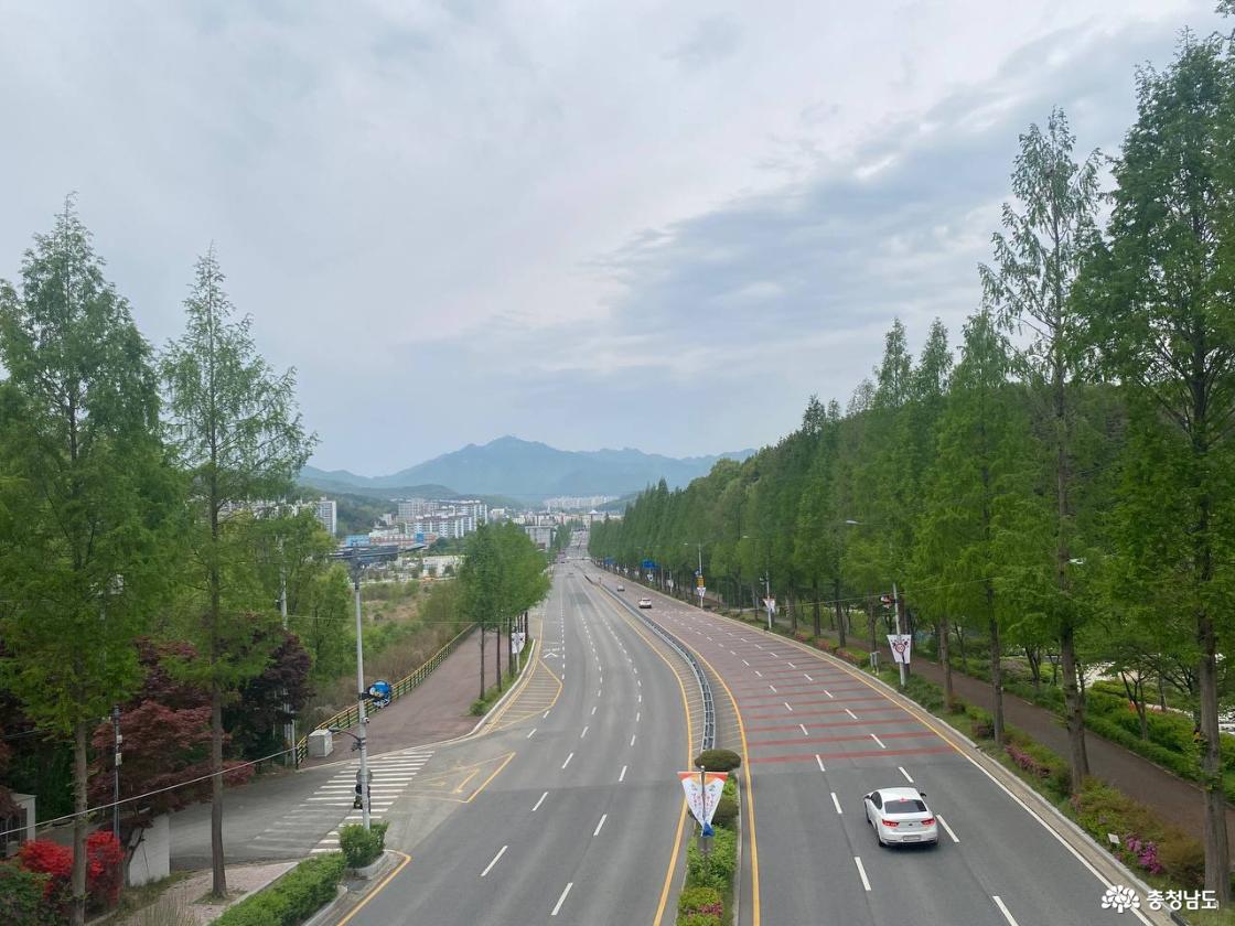 계룡시 계룡문 6