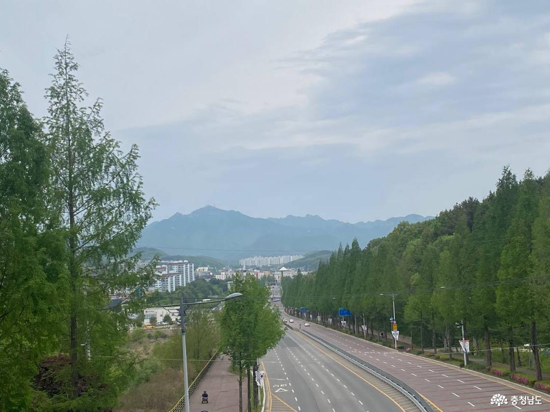 계룡시 계룡문 7