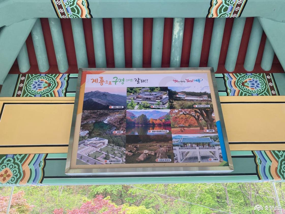 계룡시 계룡문 9