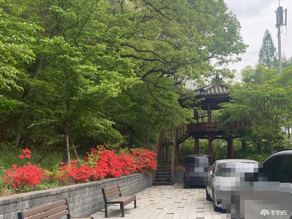 계룡시 계룡문 19