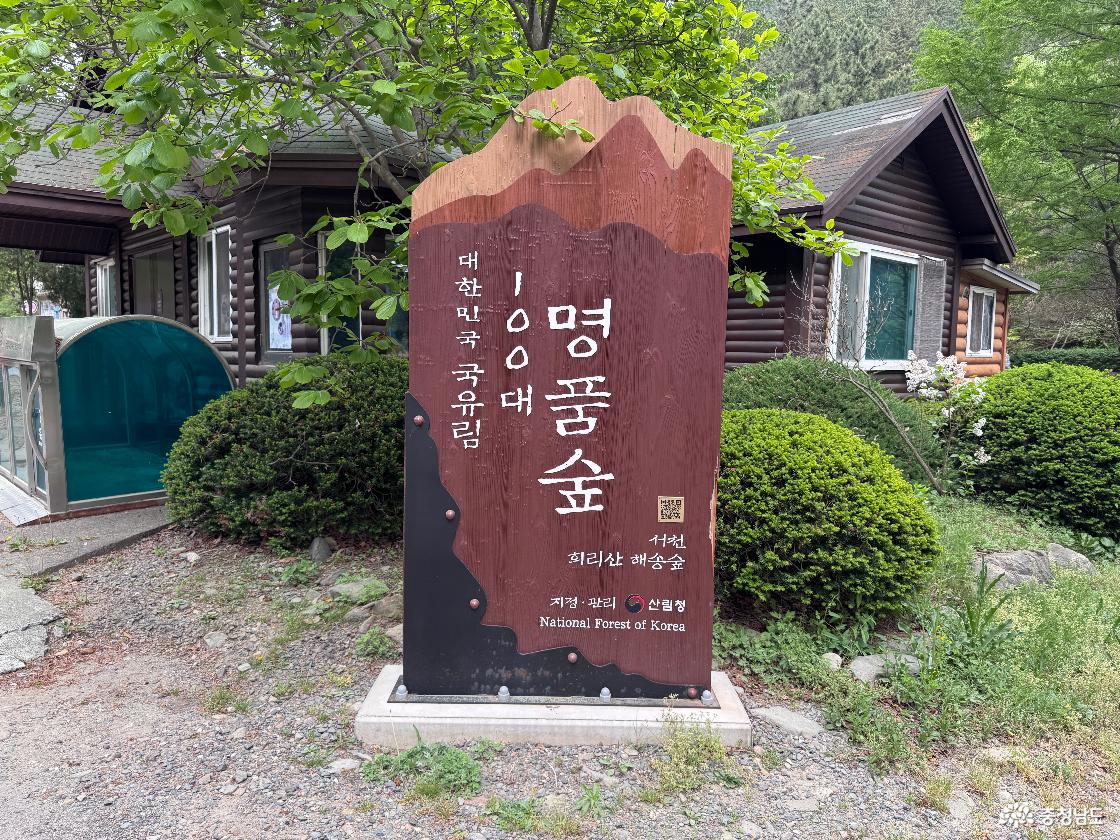 리산해송자연휴양림 100대 명품숲