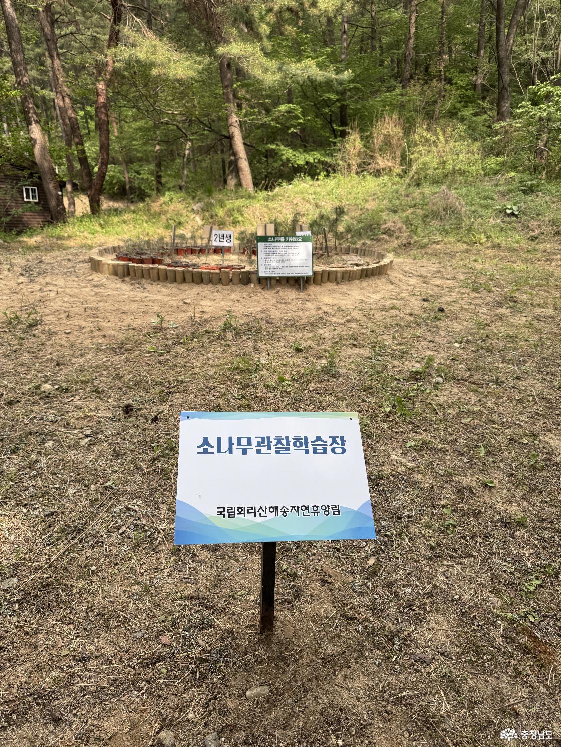 국립희리산해송자연휴양림 프로그램
