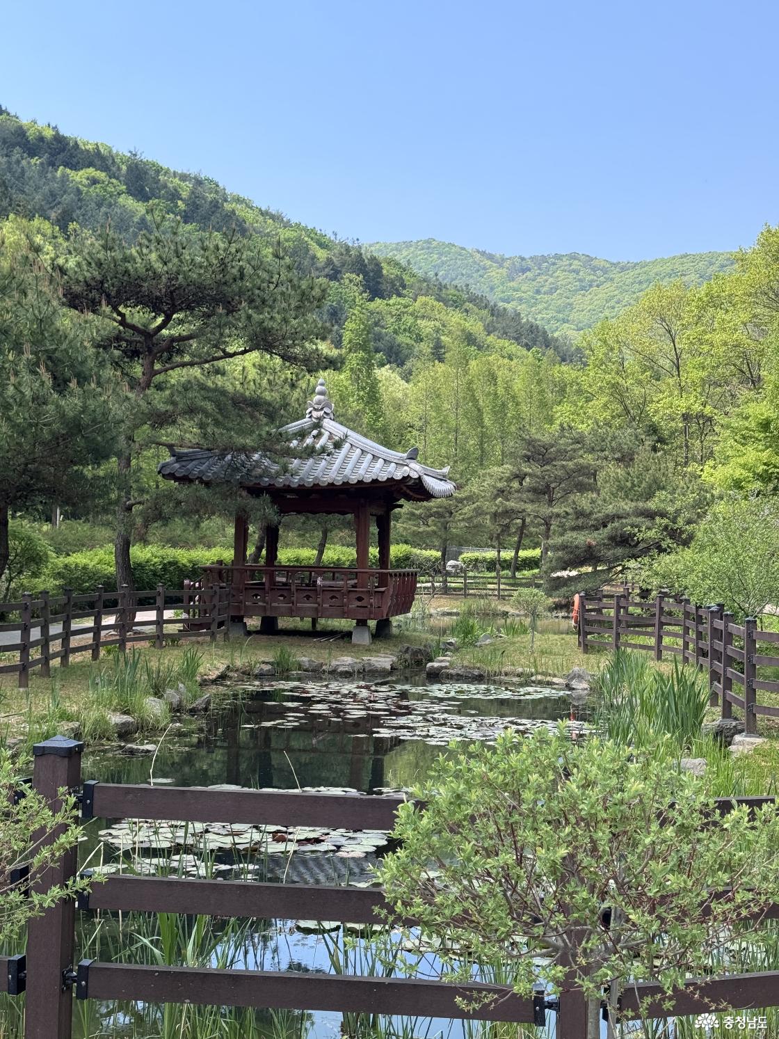 보령무궁수목원 연못