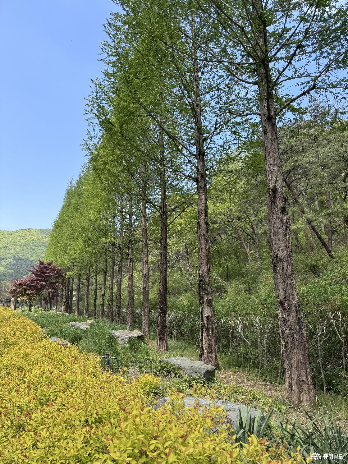 보령무궁수목원