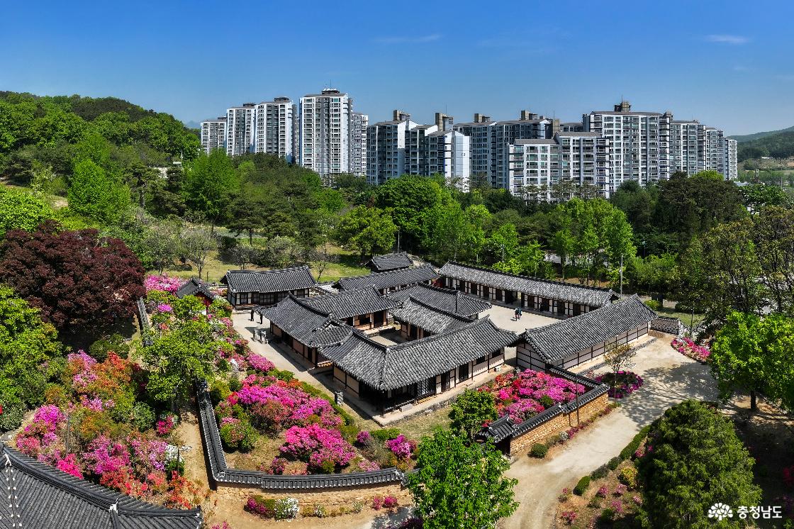 전통과 현다 조화롭게 어우러진 사계고택