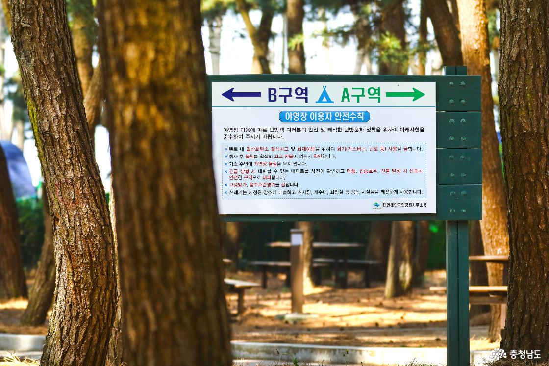 구역이 여러개로 나뉘어 있어 몽산포 야영장만의 특색을 느낄 수 있다